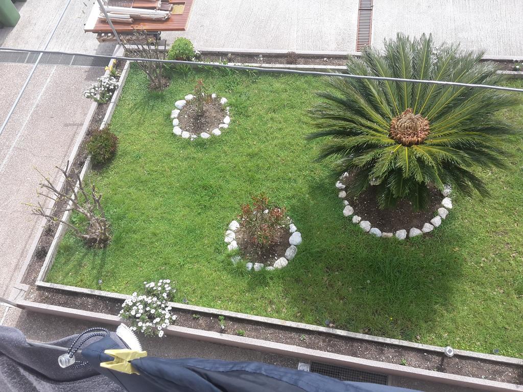 Apartment Andrija *
