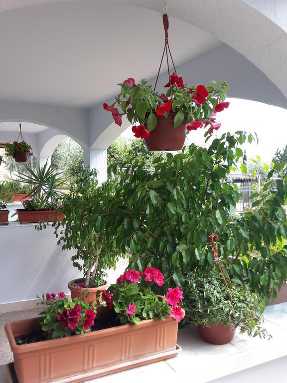 Andrija Apartment *